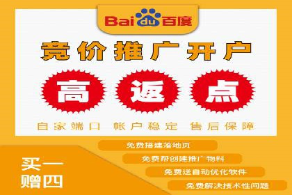 百度竞价推广经典案例解读